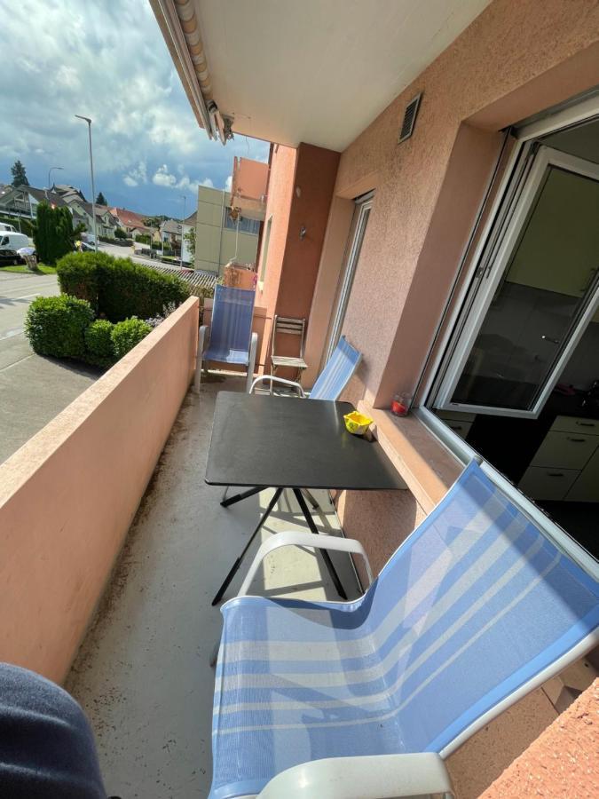 3-Room Apartment For Business Travelers & Families, Free Wifi & Tv With 70 Countries, Dazn, Sky, Netflix & Disney Wynau エクステリア 写真