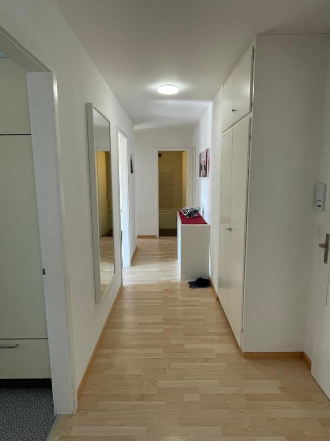 3-Room Apartment For Business Travelers & Families, Free Wifi & Tv With 70 Countries, Dazn, Sky, Netflix & Disney Wynau エクステリア 写真