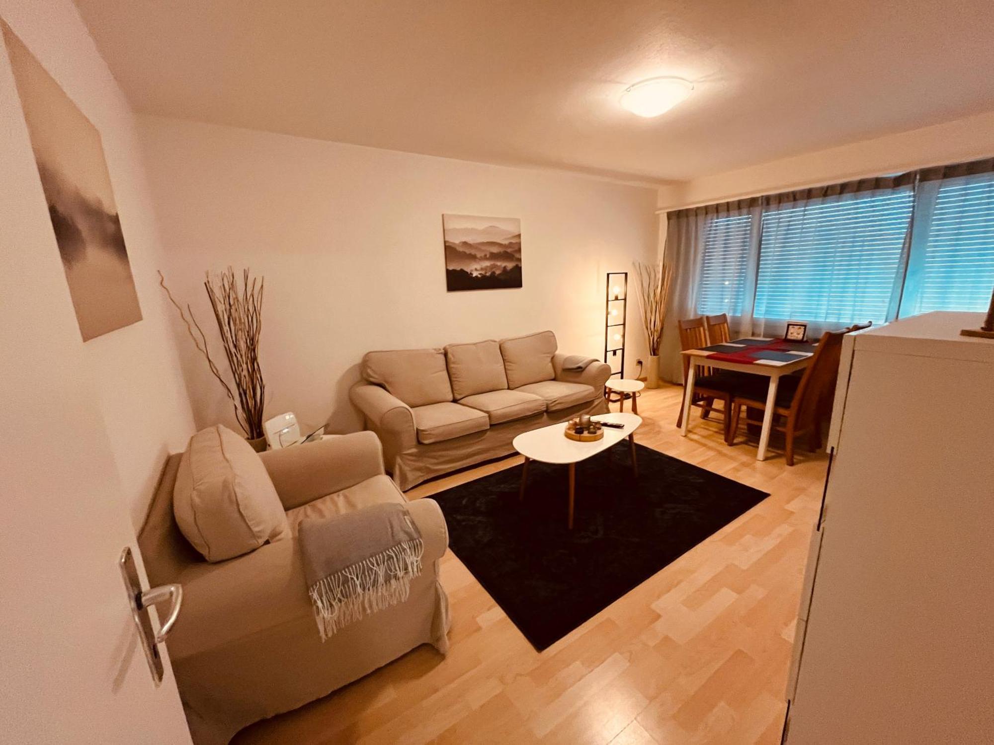 3-Room Apartment For Business Travelers & Families, Free Wifi & Tv With 70 Countries, Dazn, Sky, Netflix & Disney Wynau エクステリア 写真