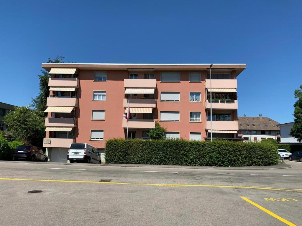 3-Room Apartment For Business Travelers & Families, Free Wifi & Tv With 70 Countries, Dazn, Sky, Netflix & Disney Wynau エクステリア 写真