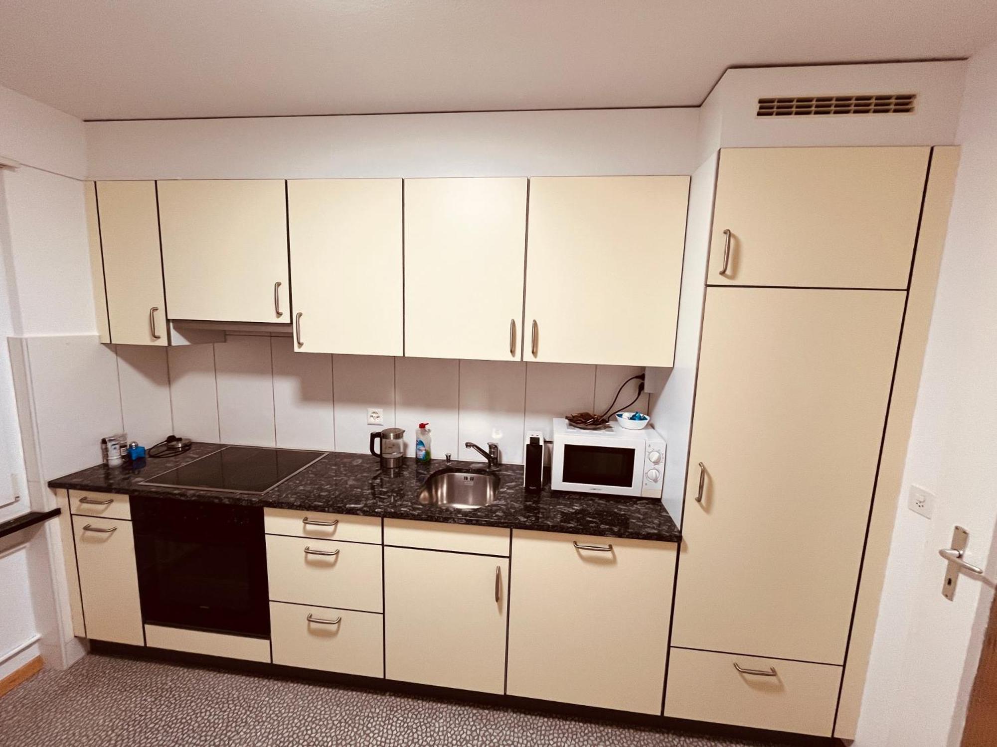 3-Room Apartment For Business Travelers & Families, Free Wifi & Tv With 70 Countries, Dazn, Sky, Netflix & Disney Wynau エクステリア 写真